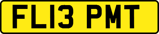 FL13PMT