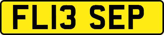 FL13SEP