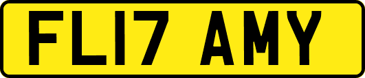 FL17AMY