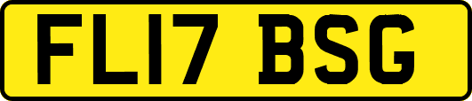 FL17BSG