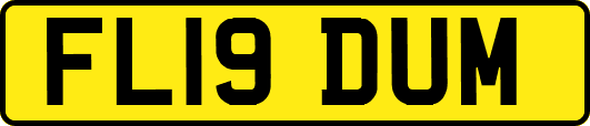 FL19DUM