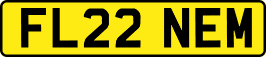 FL22NEM