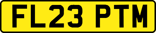 FL23PTM