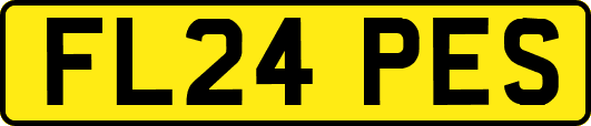 FL24PES