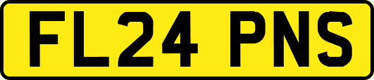 FL24PNS