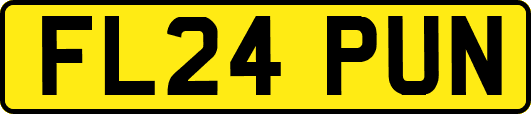 FL24PUN