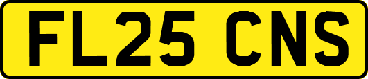 FL25CNS