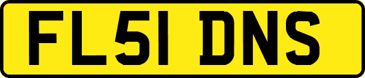 FL51DNS