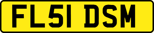 FL51DSM