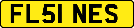 FL51NES