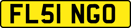FL51NGO