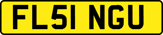 FL51NGU