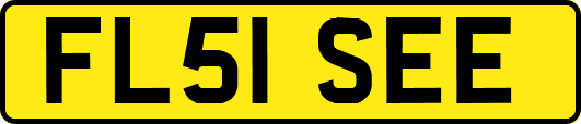 FL51SEE