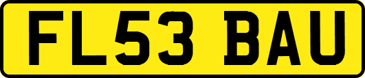 FL53BAU