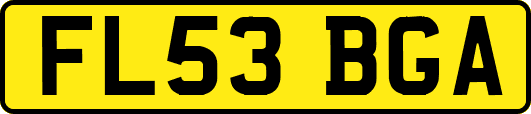 FL53BGA