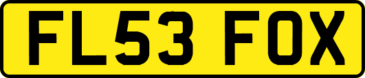 FL53FOX