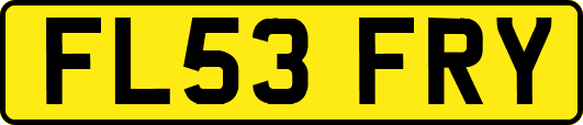 FL53FRY
