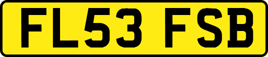 FL53FSB