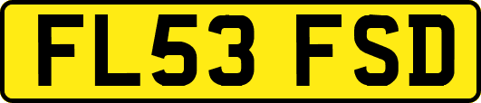 FL53FSD