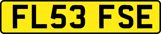 FL53FSE