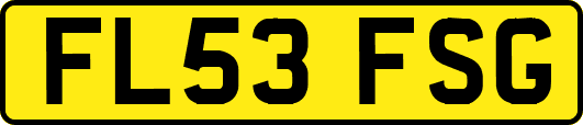 FL53FSG