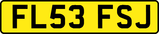 FL53FSJ
