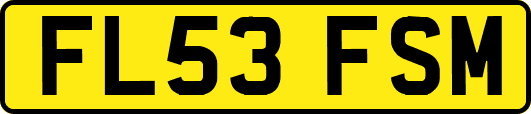 FL53FSM