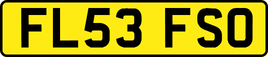FL53FSO