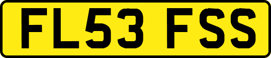 FL53FSS