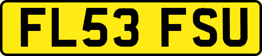 FL53FSU