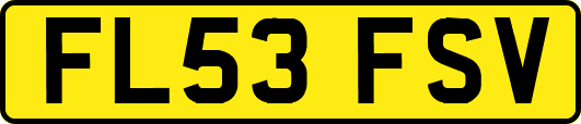 FL53FSV