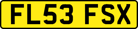 FL53FSX