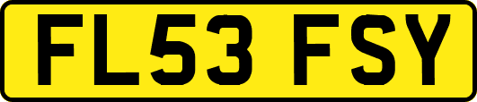 FL53FSY