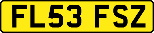 FL53FSZ