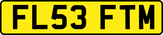 FL53FTM