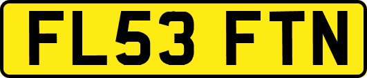 FL53FTN