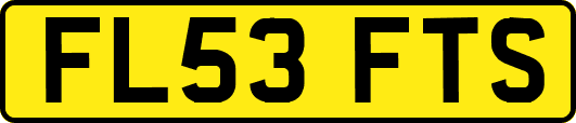 FL53FTS