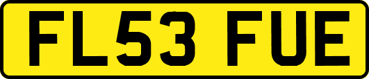 FL53FUE