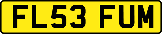 FL53FUM
