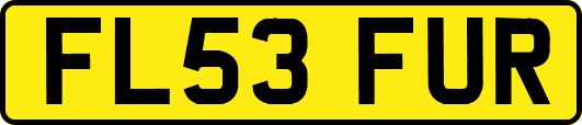 FL53FUR