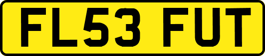 FL53FUT