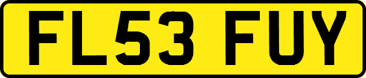 FL53FUY