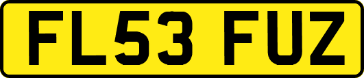 FL53FUZ
