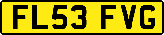 FL53FVG