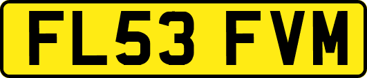 FL53FVM