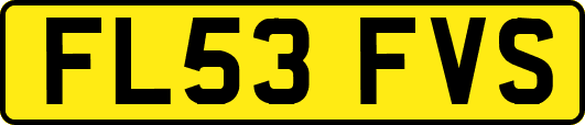 FL53FVS