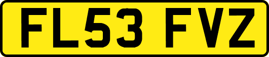 FL53FVZ