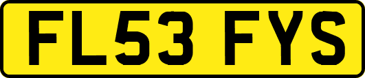 FL53FYS