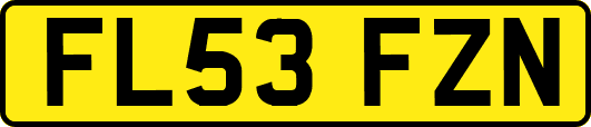 FL53FZN
