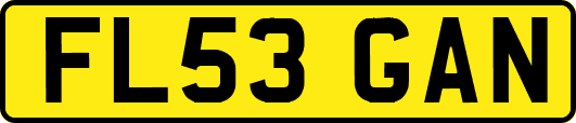 FL53GAN